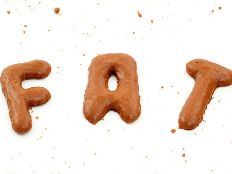 A image spelling the word fat, using a chocolate sauce of sorts.