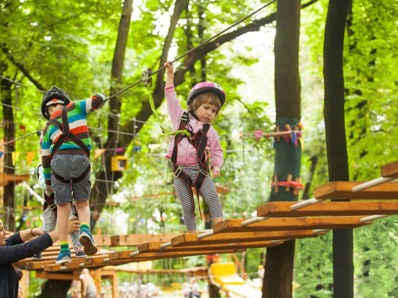A young girl and boy being brave while doing a jungle gym course in a forest.