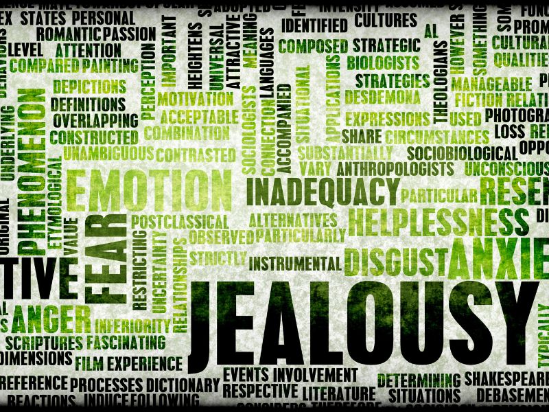 Image shows the different meanings of jealousy slotted togther like a puzzle box in shades of green and black.