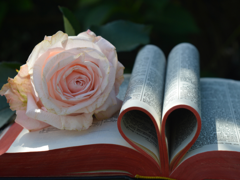 A bible with pages shaped as a heart with a rose depicting spiritual self-care.